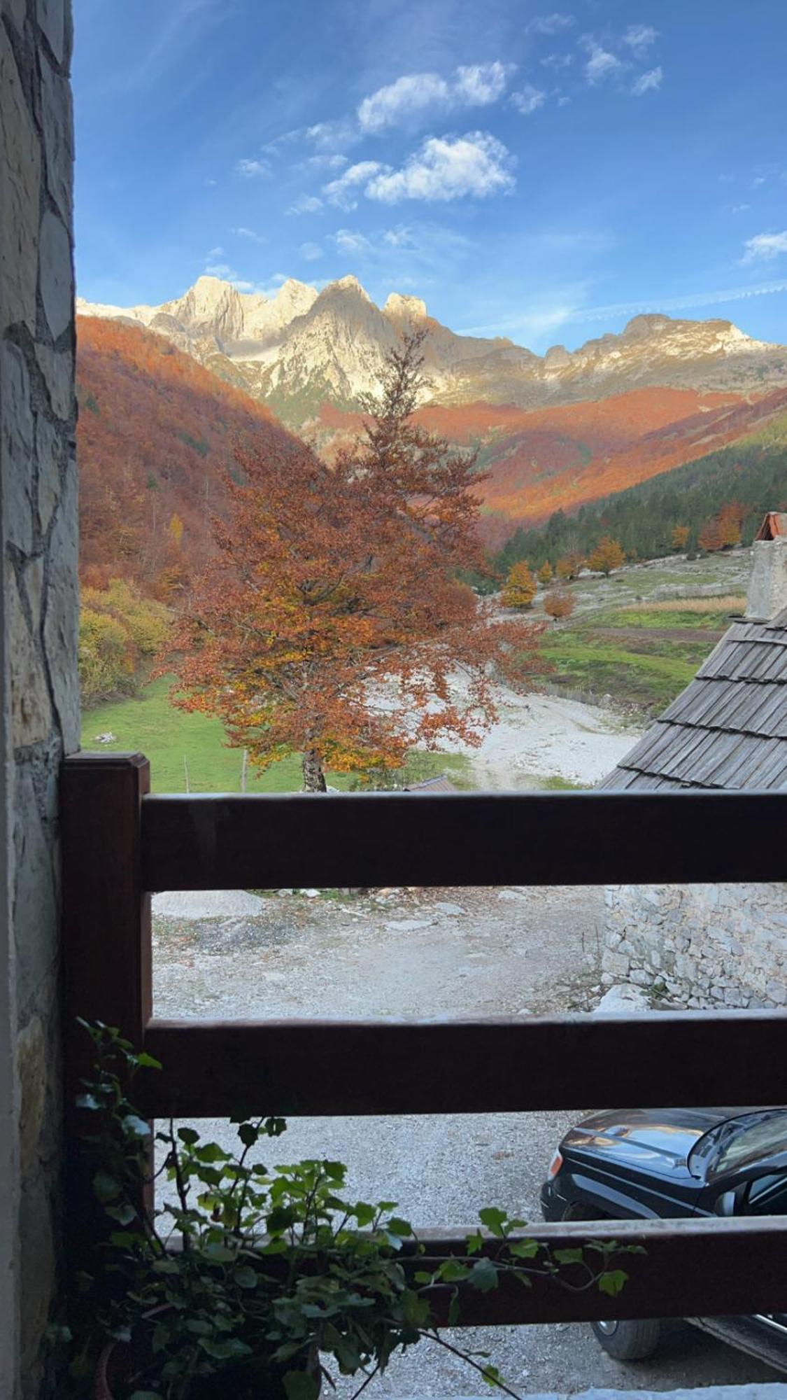 Rosi Peak Guest house *