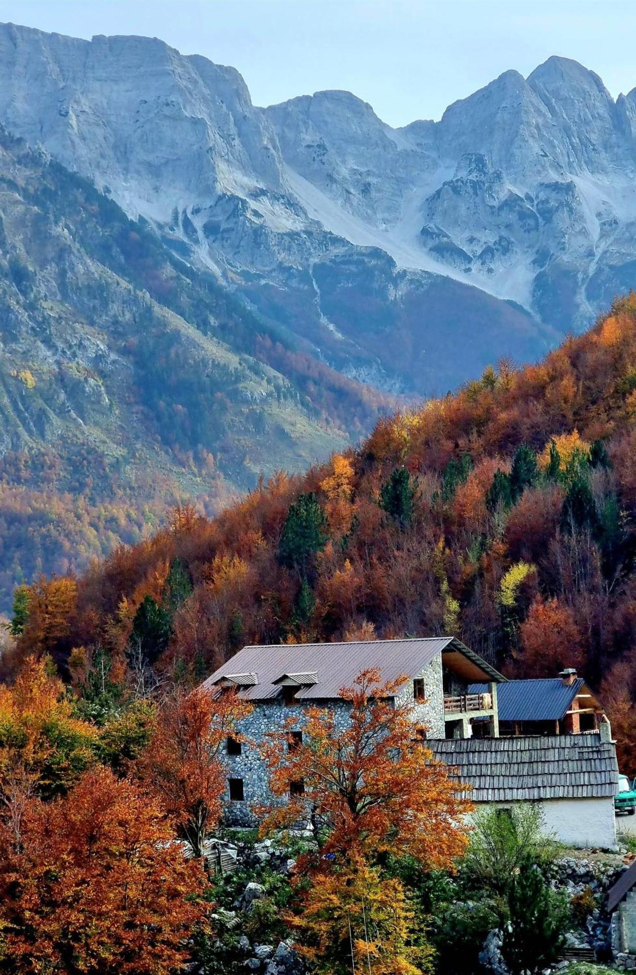 Guest house Rosi Peak *